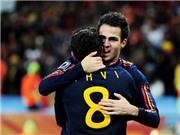 Bóng đá anh, ngoại hạng anh, lịch thi đấu euro 2012, Arsenal nên học Liverpool hay không: Fabregas đáng giá bao nhiêu?